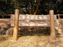 Wong Shek Camp Site