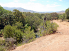 Campo 280 Hectareas Real Oportunidad