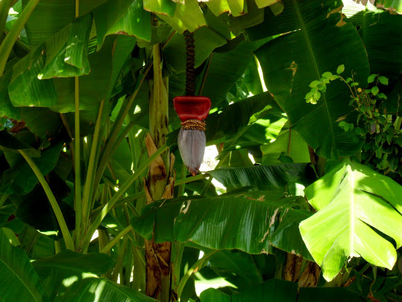 Spotting Image 1