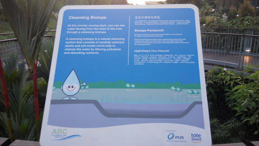 Cleansing Biotope Board