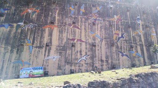 Muro  Das Gaivotas