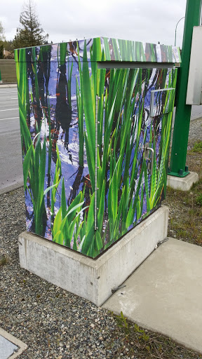 Glennwood Watery Grass Nature Mural