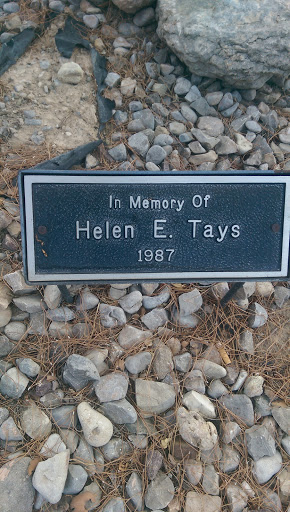 Helen Tays Memorial Tree