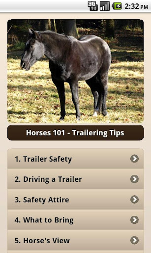 Horses 101 - Trailering Tips