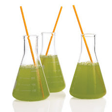 Bubbling Cocktails