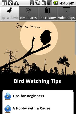 Bird Watching Tips