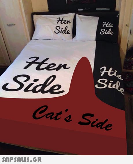 ten Side His Side Side Side Cat s Side 
