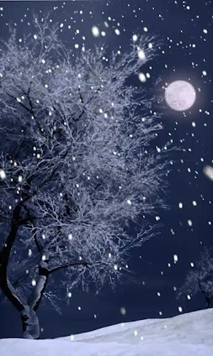 Snowy Night