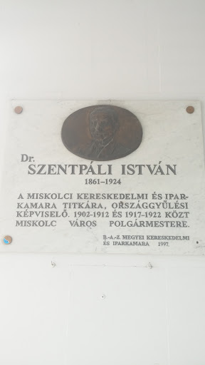 Dr. Szentpáli István 