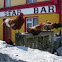 Gallo. Cockerel