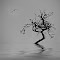 Weird Wood and Neg 1000x920.jpg