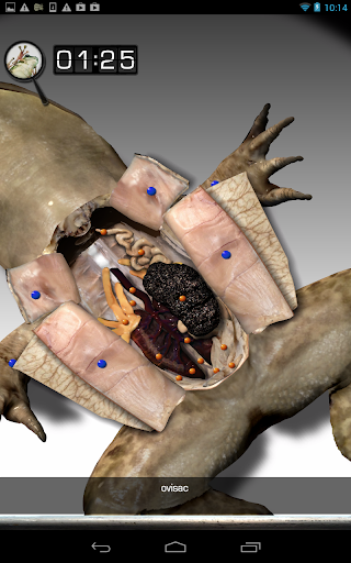 Frog Dissection Video Free Download