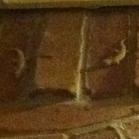 Spotting Image 1