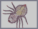 Thumbnail of the map 'Arachnid Step C'