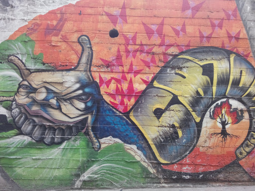 Salyangoz Graffiti
