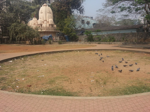 Ground Behind Temple