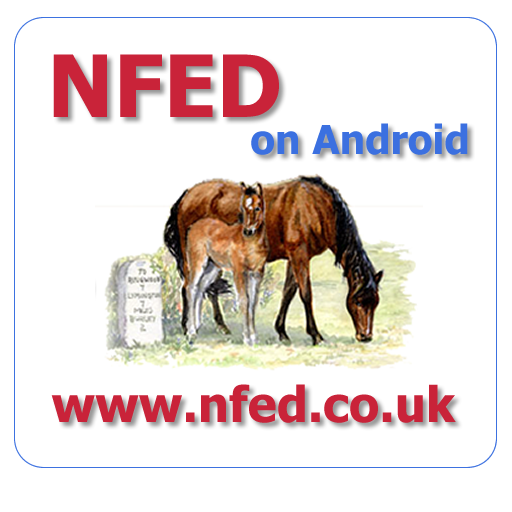 NFED LOGO-APP點子