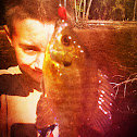 Pumpkinseed