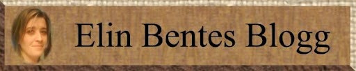 Elin Bentes Blogg