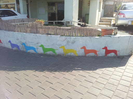Colorful Dogs