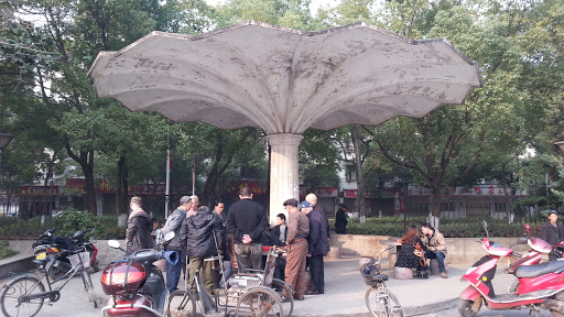 湘钢蘑菇伞