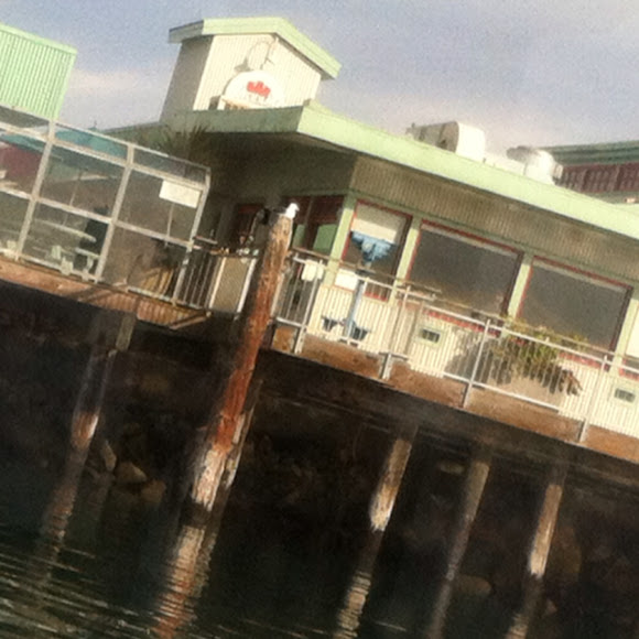 Spotting Image 1