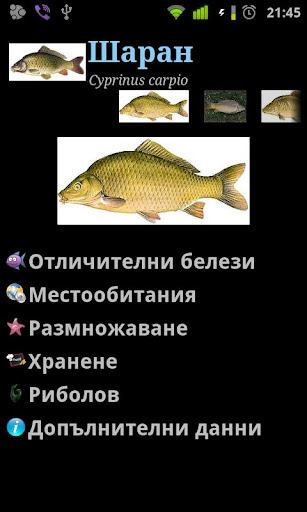 【免費運動App】РибиБГ (FishBG)-APP點子