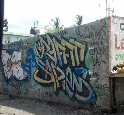 Graffiti Sapiens