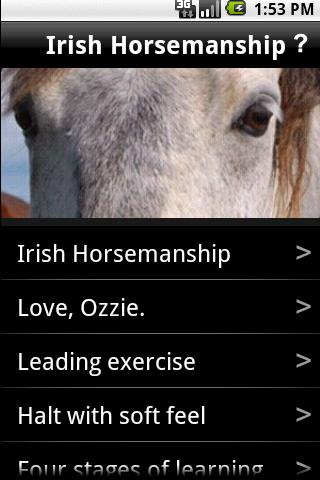 Irish Horsemanship