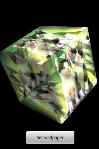 3D cute cat 3