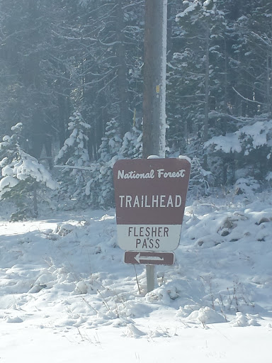 Flesher Pass Trailhead