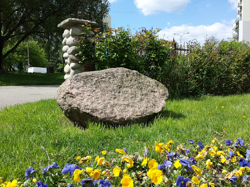 Zwykły Kamień Na Trawie Parku JP2