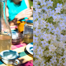 Elderflower Syrup & Cordial