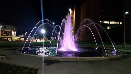 UAMS Fountain