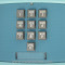 Desk Phones - Western Electric 1500 Blue 1