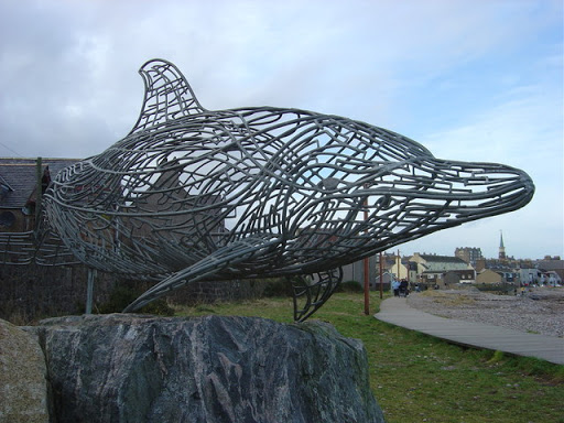 Wire Dolphin 