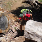 Onthetrailto
