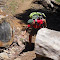 Onthetrailto