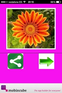 How to get Flores 3.0.0 unlimited apk for android
