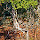 Lake Superior Watershed Diversity