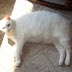 DSC00235.JPG