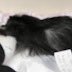 100_5023  GOOD NIGHT.JPG