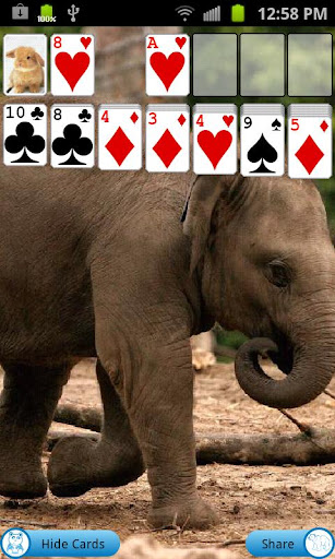 Baby Animal Solitaire