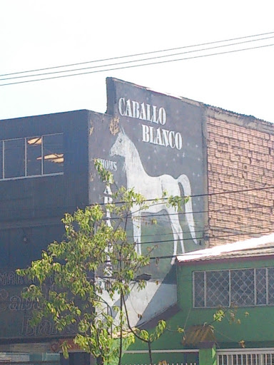 Caballo Blanco Mural