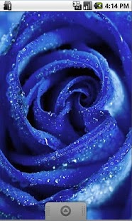 How to install Blue Flower Live Wallpaper 1.1.1 apk for android
