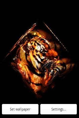 3D tiger 3