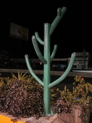 Escultura De Cactus
