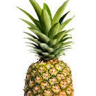 ThePinappleMan