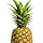 ThePinappleMan