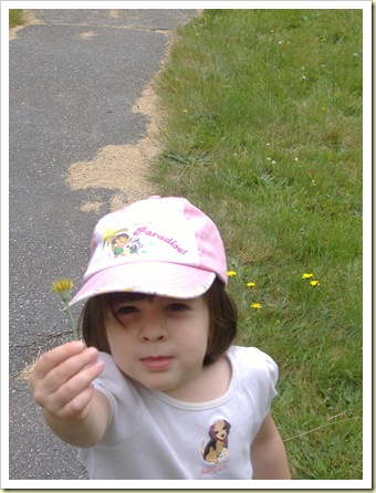 hike ubc demo forrret July 6 2008 003